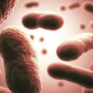 Bakteria Trądzik - Jak Wygrać Z Tym Problemem
